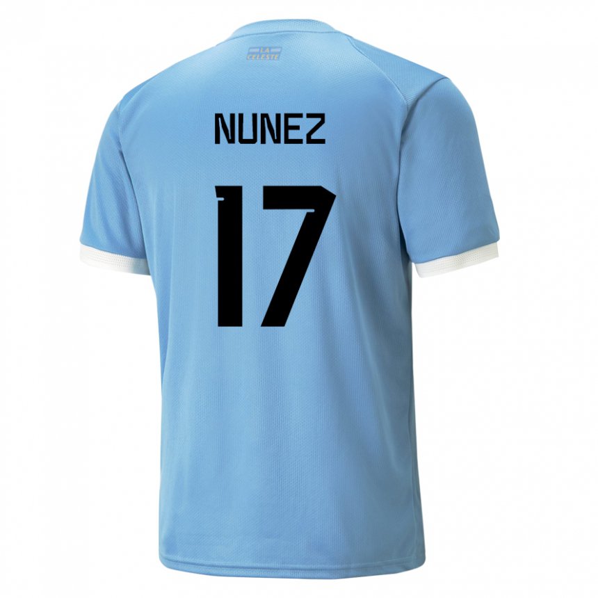 Pánské Uruguayská Facundo Nunez #17 Modrý Domů Hráčské Dresy 22-24 Dres