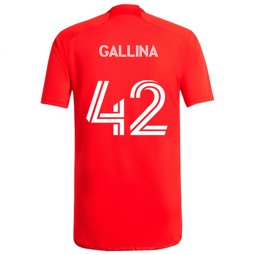 Dětské Henrique Gallina #42 Červená Bílá Domů Hráčské Dresy 2024/25 Dres