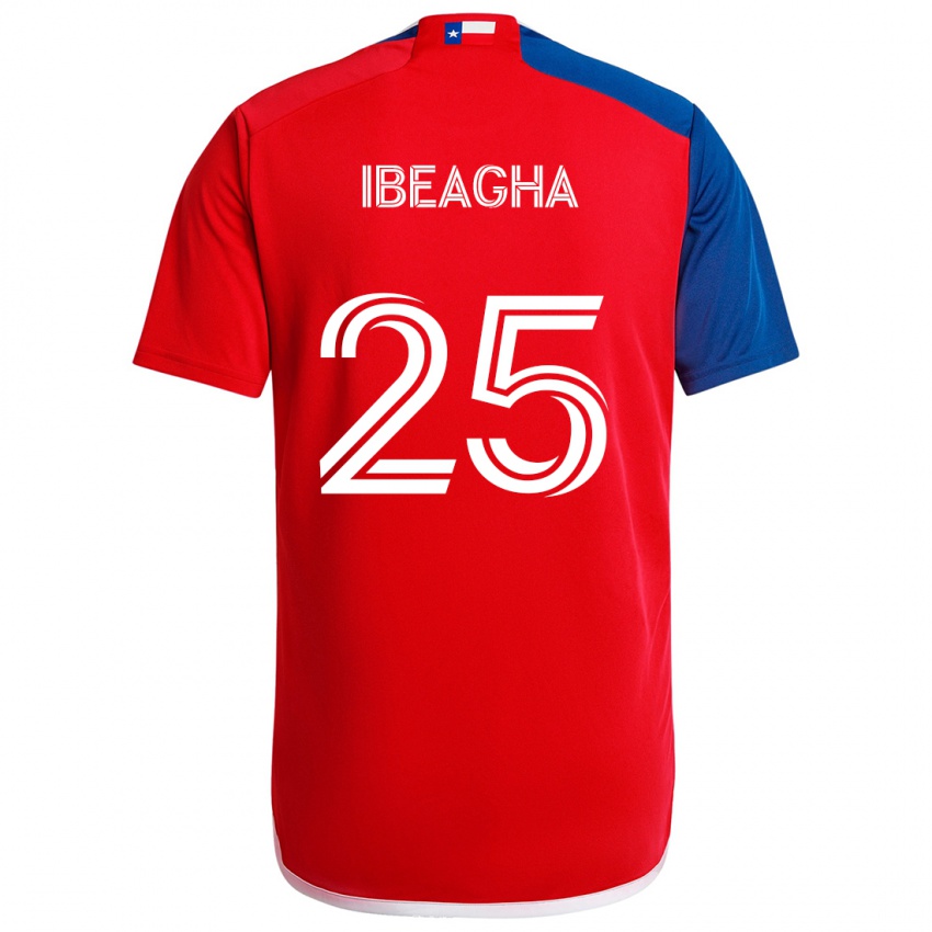 Dětské Sebastien Ibeagha #25 Modrá Červená Domů Hráčské Dresy 2024/25 Dres