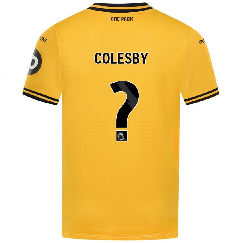 Pánské Ryan Colesby #0 Žluť Domů Hráčské Dresy 2024/25 Dres