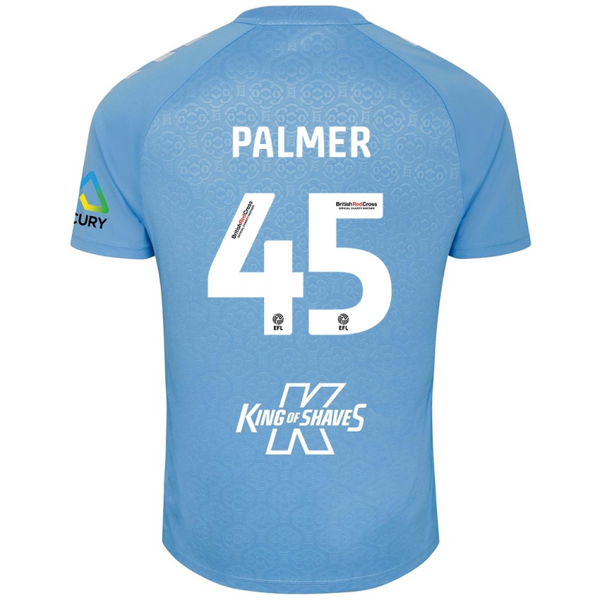 Pánské Kasey Palmer #45 Modrá Bílá Domů Hráčské Dresy 2024/25 Dres