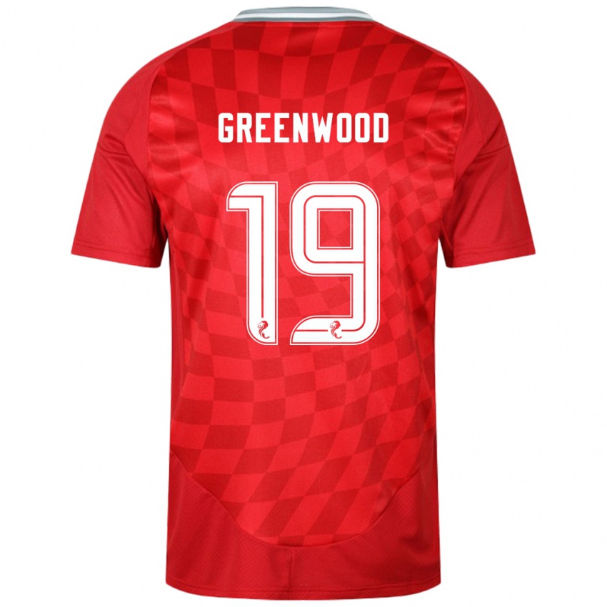 Dětské Brodie Greenwood #19 Červený Domů Hráčské Dresy 2024/25 Dres